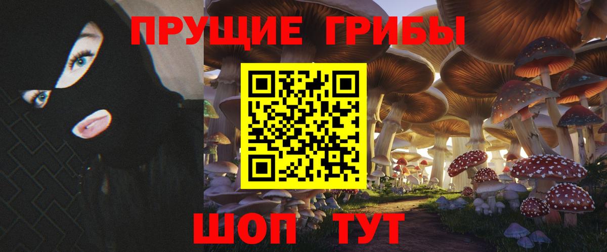Назрань  где можно купить наркотик  Вход с VPN  Псилоцибиновые грибы Psilocybine cubensis  Галлюциногенные грибы MAGIC MUSHROOMS 